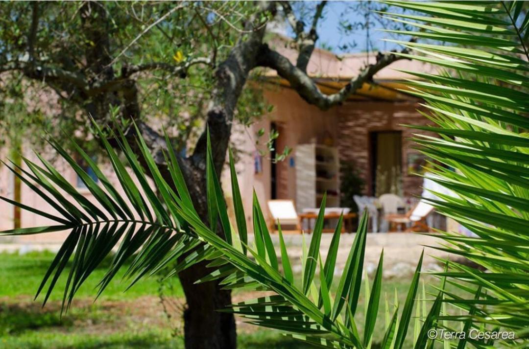 B&B Terra Cesarea Santa Cesarea Terme Exterior foto